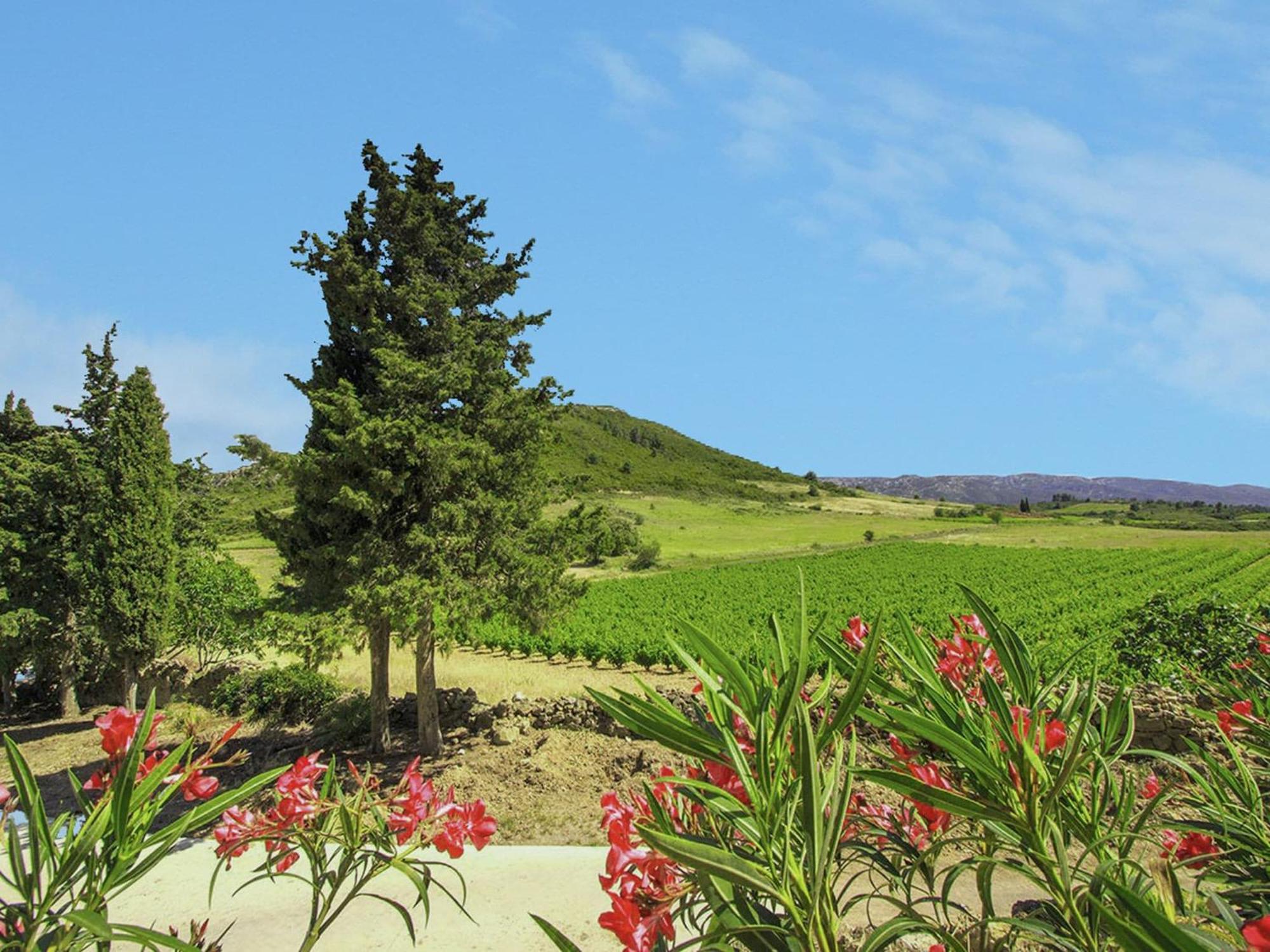 Classy In Que Des Corbi Res With Swimming Pool Villeseque-des-Corbieres