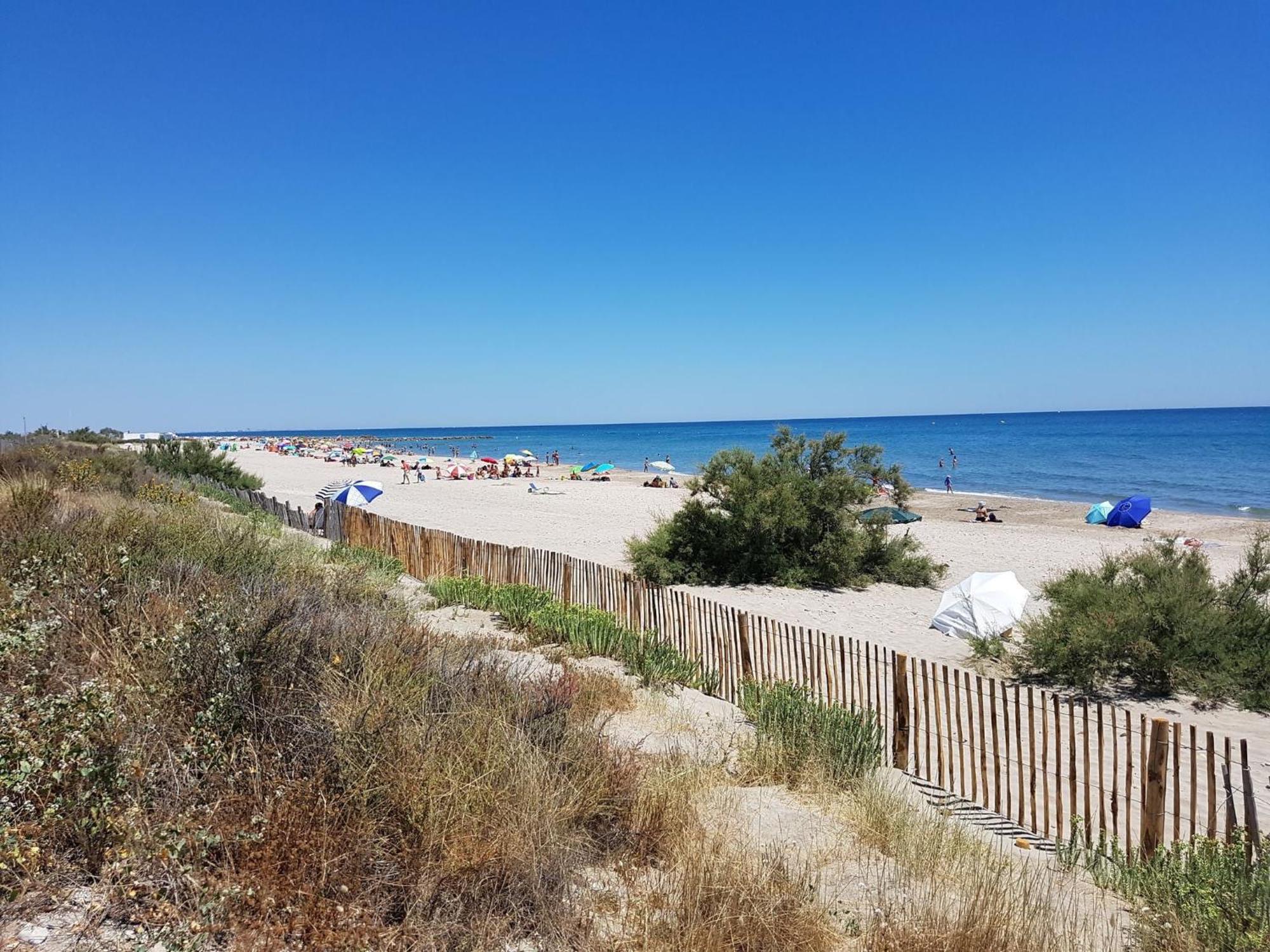 Classy In Que Des Corbi Res With Swimming Pool Apartment Villeseque-des-Corbieres